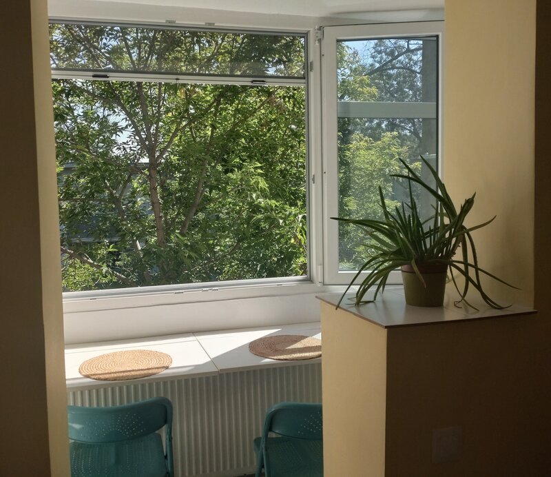 Piata Muncii, Gheorghe Petrascu, renovat, mobilat si complet